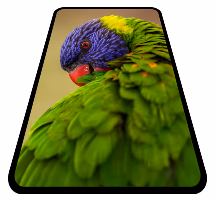 Alfombra vinílica animales retrato colorido de loro - TenVinilo