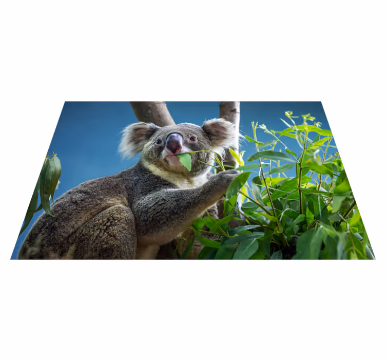 Alfombra vinílica animales koala en la naturaleza - TenVinilo