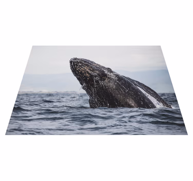 Alfombra vinílica naturaleza majestuoso salto de ballena - TenVinilo