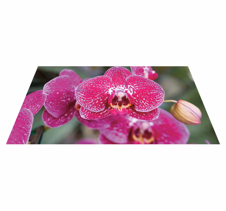 Alfombra vinílica flores radiante colección de orquídeas - TenVinilo
