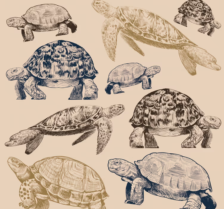 Papel mural animal colección de tortugas - TenVinilo