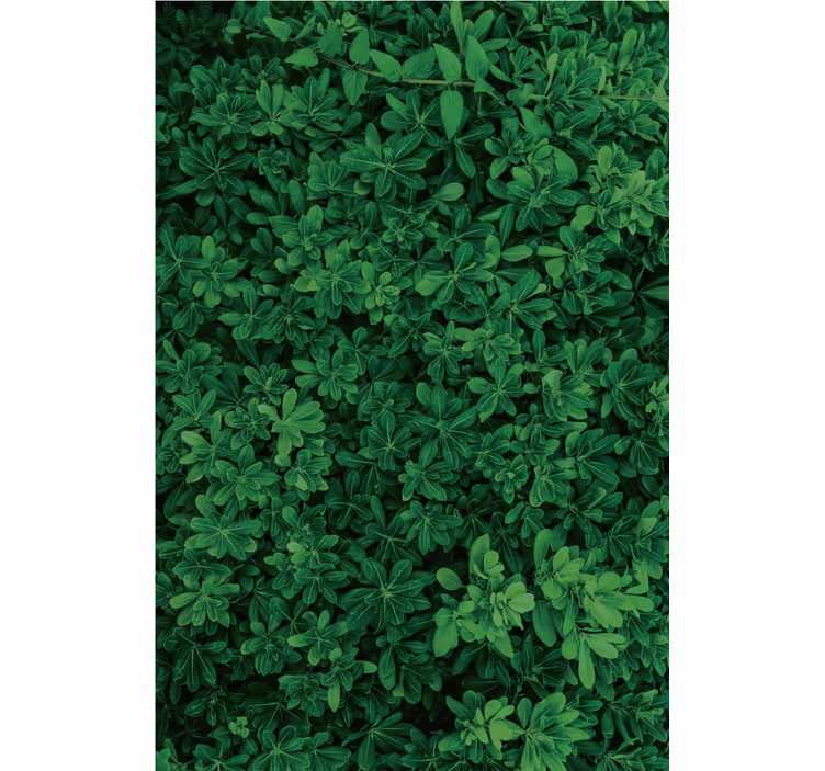 Papel mural naturaleza verde profundo - TenVinilo