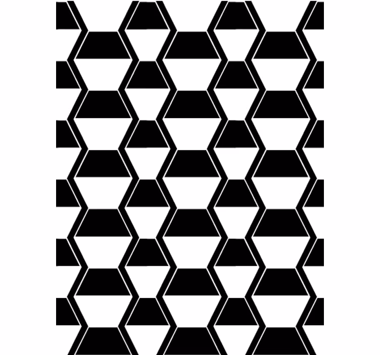 Papel mural living comedor hexágonos blanco y negro - TenVinilo