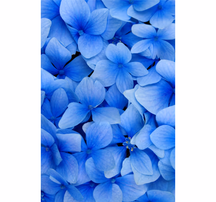 Papel mural living comedor patrón de pétalos de hortensia - TenVinilo