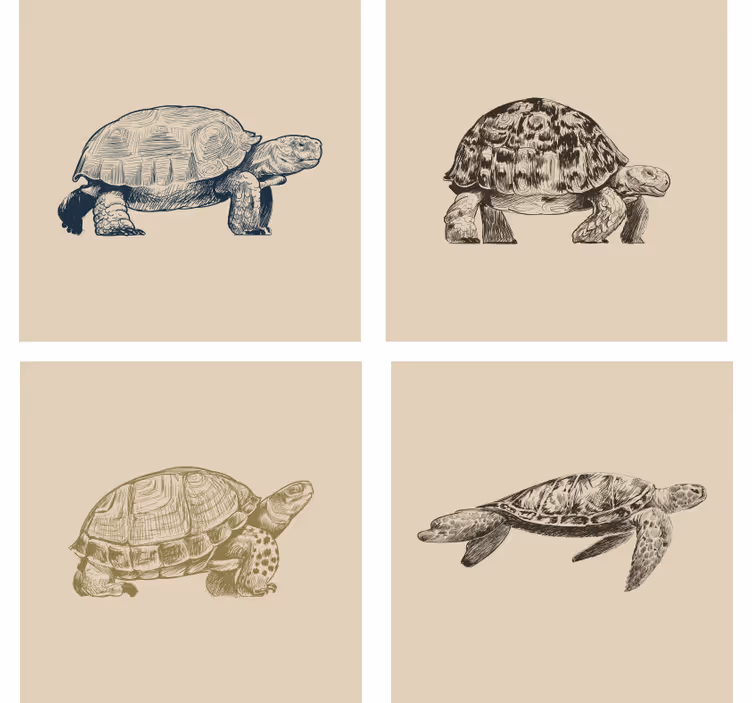 Papel mural vintage tortugas sobre fondo beige - TenVinilo