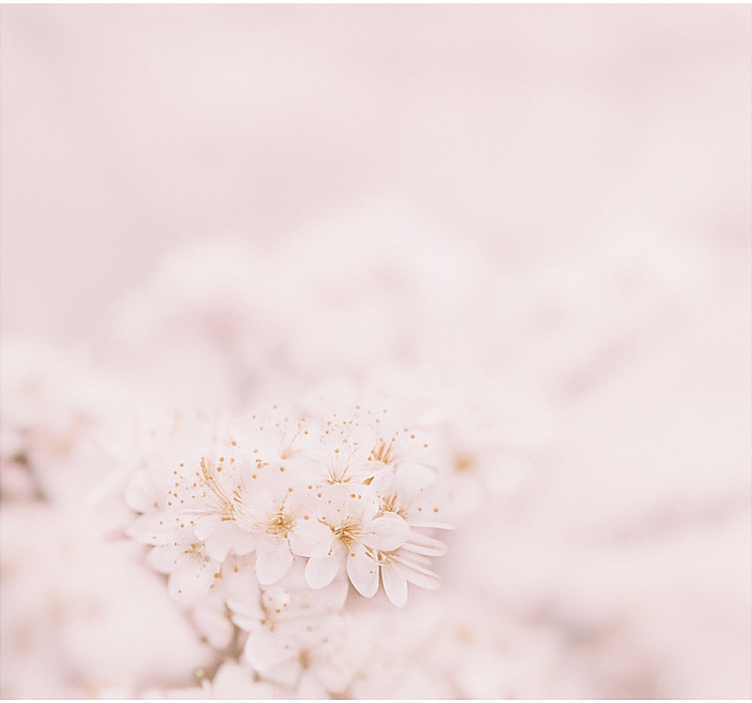 Cortina roller habitación matrimonio delicadas flores de cerezo - TenVinilo