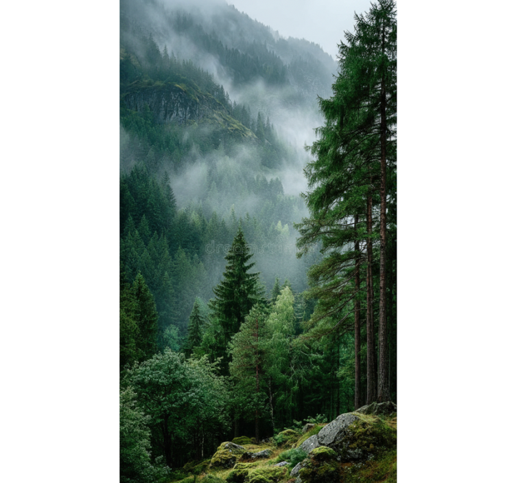 Cortina roller árboles la elección melancólica - TenVinilo