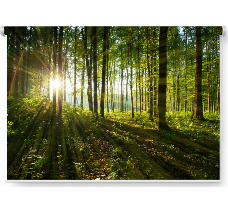 Cortina roller árboles bosques del sol dorado - TenVinilo