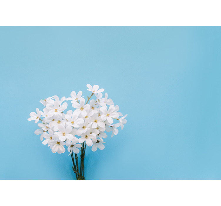 Cortina roller cocina fondo azul jazmín - TenVinilo