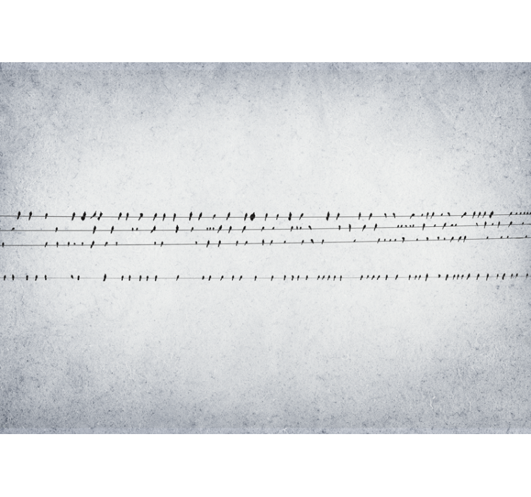 Cortina roller blanca concierto de pájaros en cables - TenVinilo