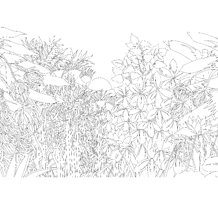 Cortina roller blanca bosque tropical dibujado - TenVinilo