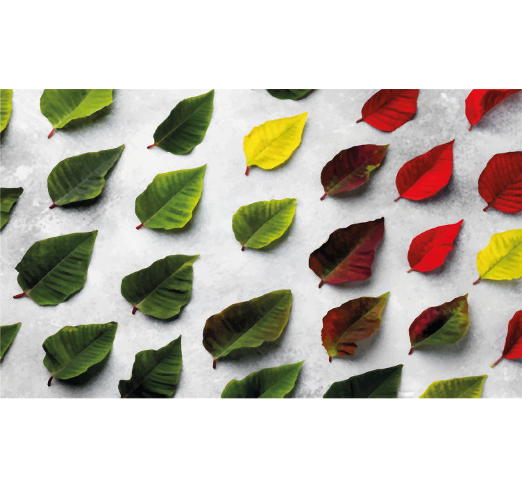 Cortina roller living comedor hojas coloridas arriba - TenVinilo