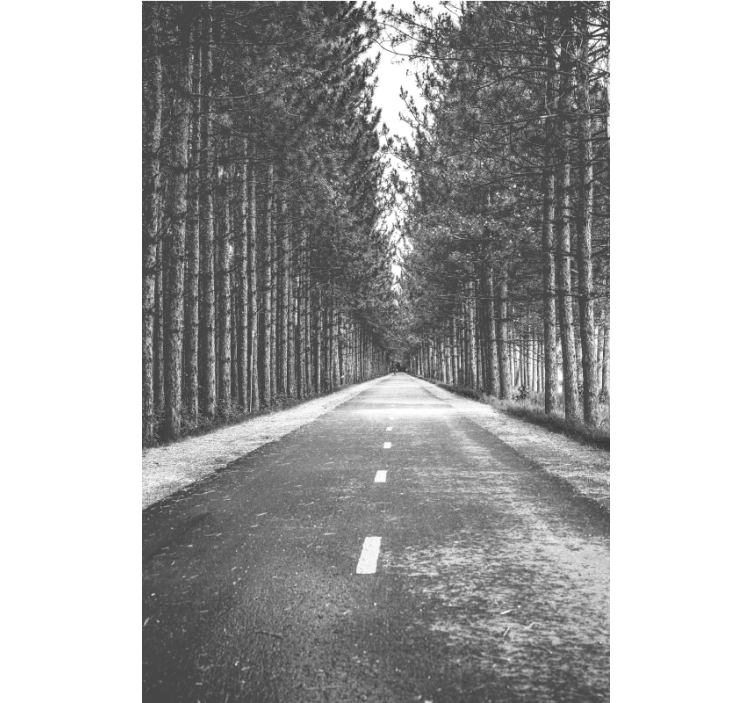 Cortina roller sendero forestal sereno - TenVinilo