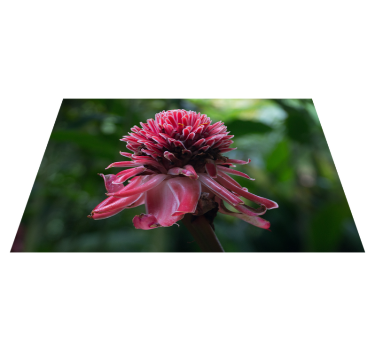 Individual original mesa arreglo floral tropical - TenVinilo