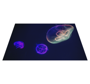 Individuales de mesa medusas multicolor - TenVinilo