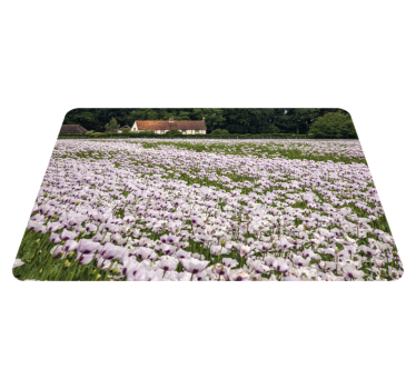 Individual original mesa campo de flores de lavanda - TenVinilo