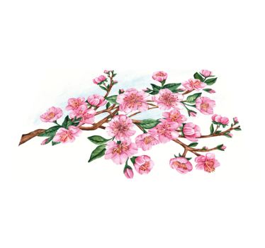 Individual original mesa cuenco floral elegante - TenVinilo