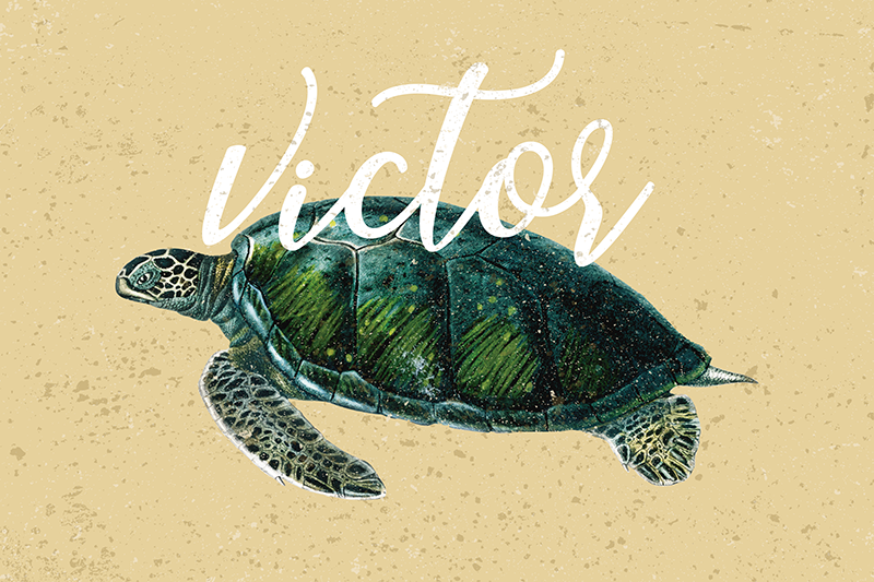 Mantel individual beige tortuga con nombre - TenVinilo