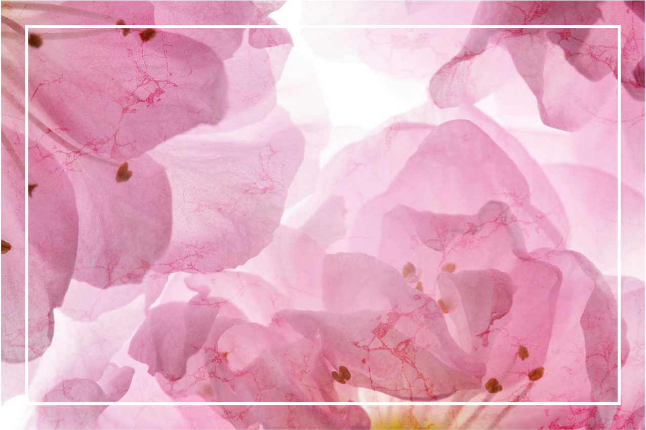 Individual mesa elegante patrón floral suave - TenVinilo