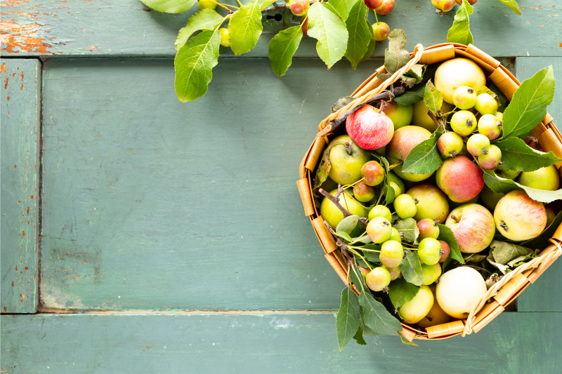 Mantel individual casa arreglo de frutas - TenVinilo