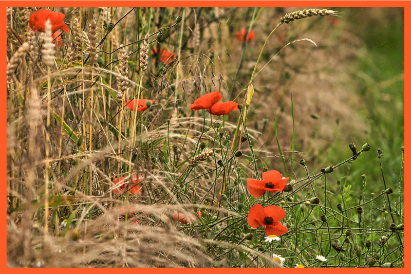Individual mesa infantil arreglo divertido de comida - TenVinilo
