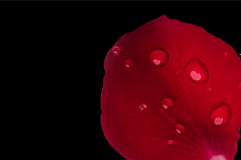 Mantel individual imitación superficie de pétalos rojos - TenVinilo