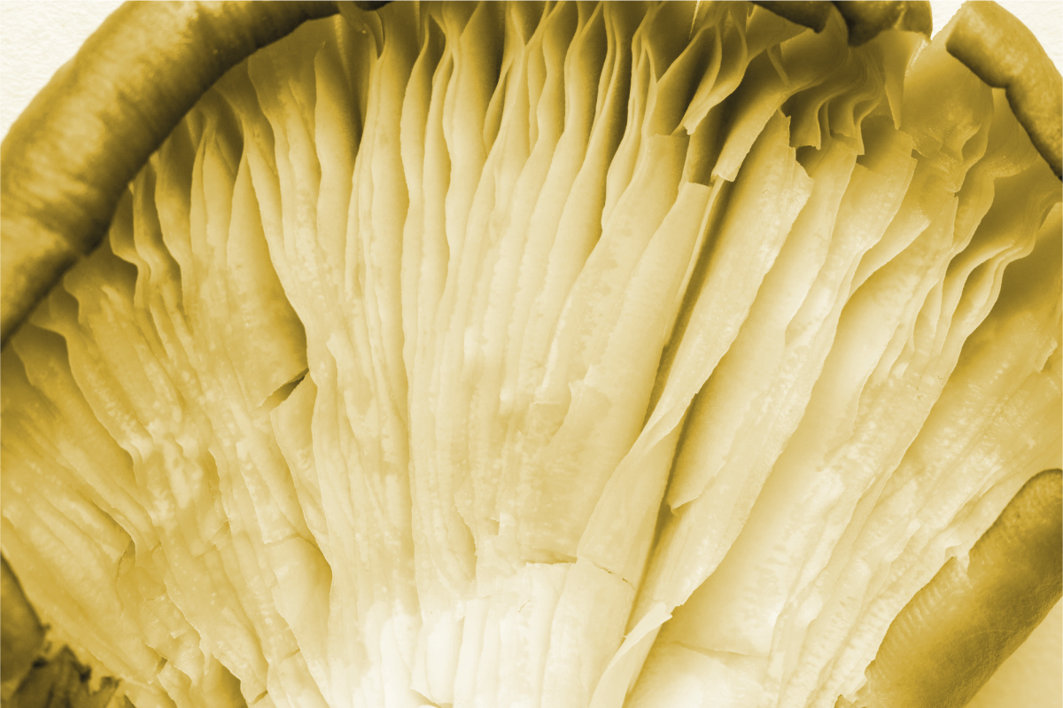 Mantel individual imitación capas de hojas curvas - TenVinilo