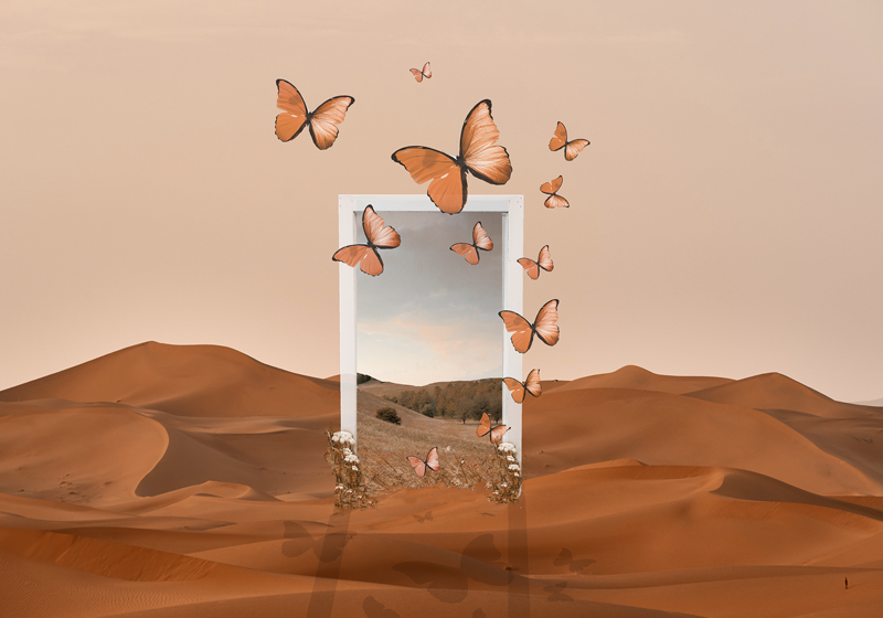 Individual original mesa mariposas emergentes marco - TenVinilo