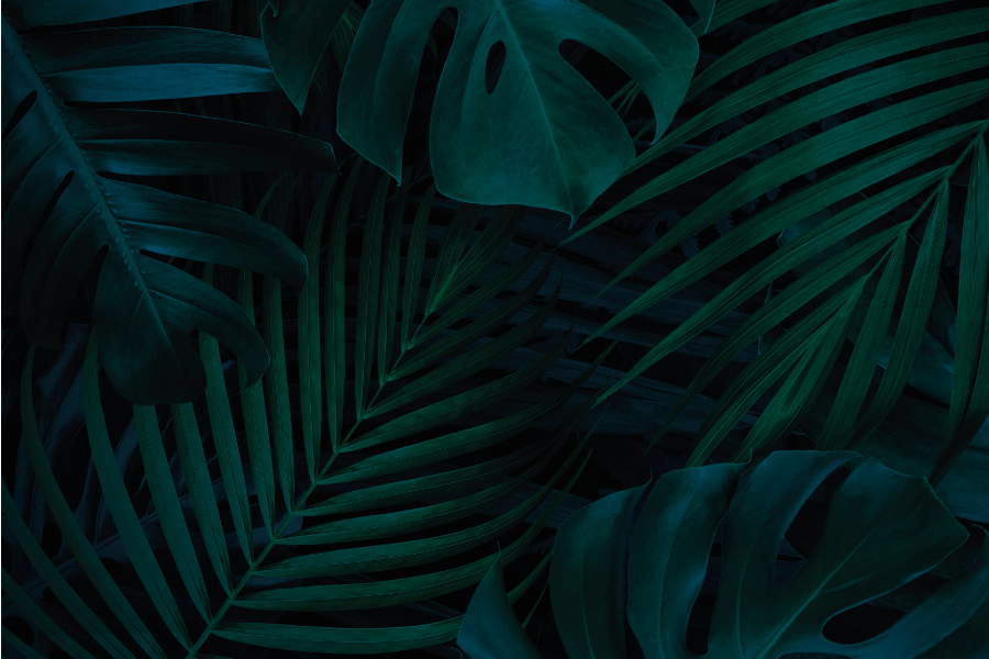 Mantel individual imitación atractivo de hojas tropicales - TenVinilo