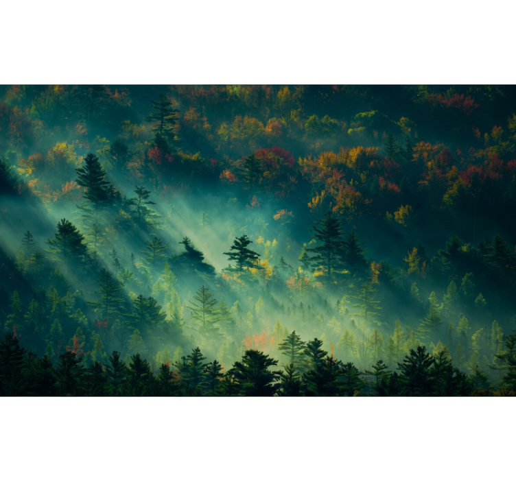 Papel mural bosque el bosque melancólico - TenVinilo