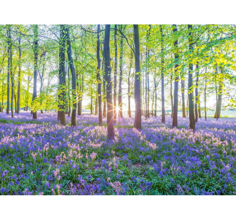 Papel mural bosque modernismo inspirado en la naturaleza - TenVinilo