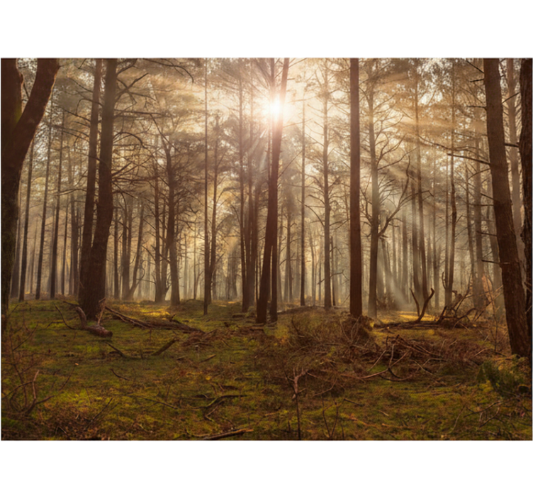 Papel mural bosque salón de vida silvestre dorado - TenVinilo