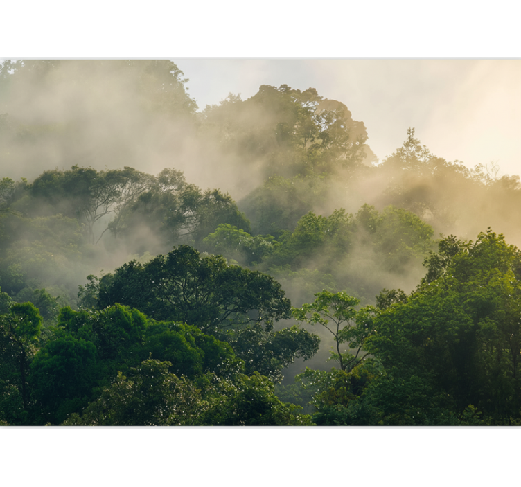 Papel mural bosque dosel de jungla exuberante - TenVinilo