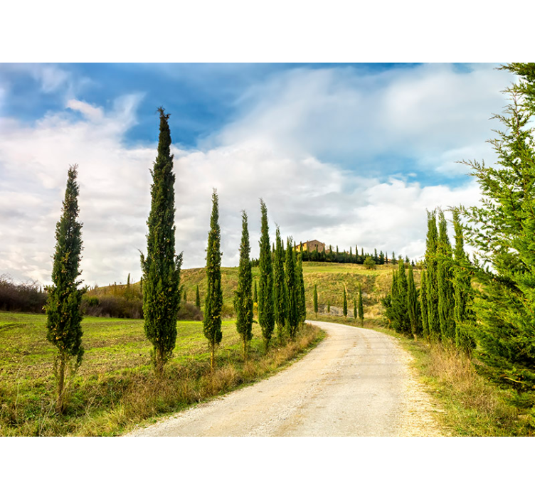 Fotomural pared del paisaje de la Toscana - TenVinilo