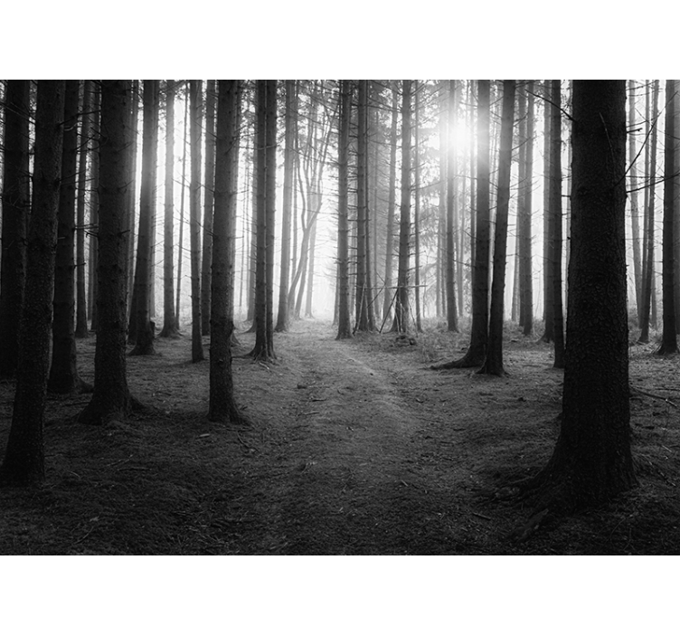 Fotomural paisaje bosque blanco y negro salon - TenVinilo