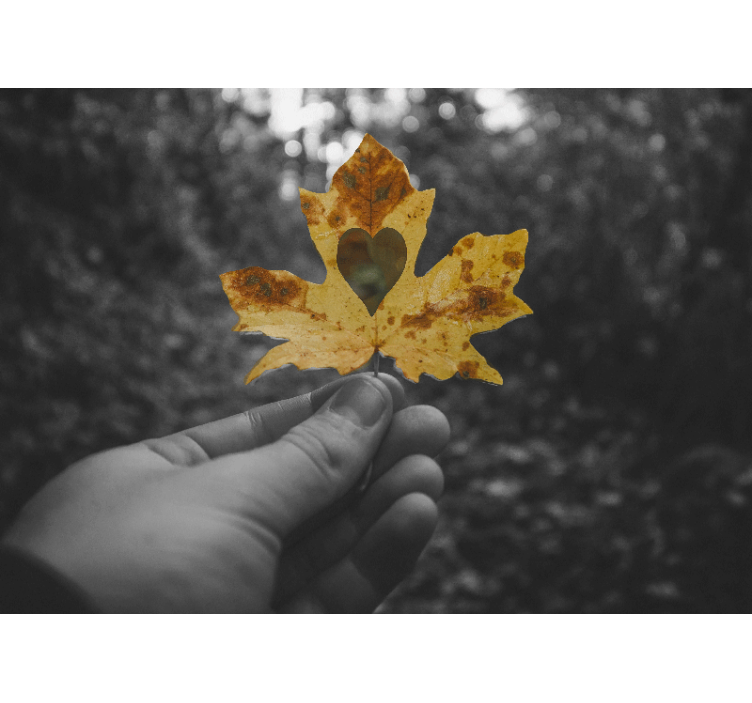 Papel mural naturaleza hoja en forma de corazón - TenVinilo