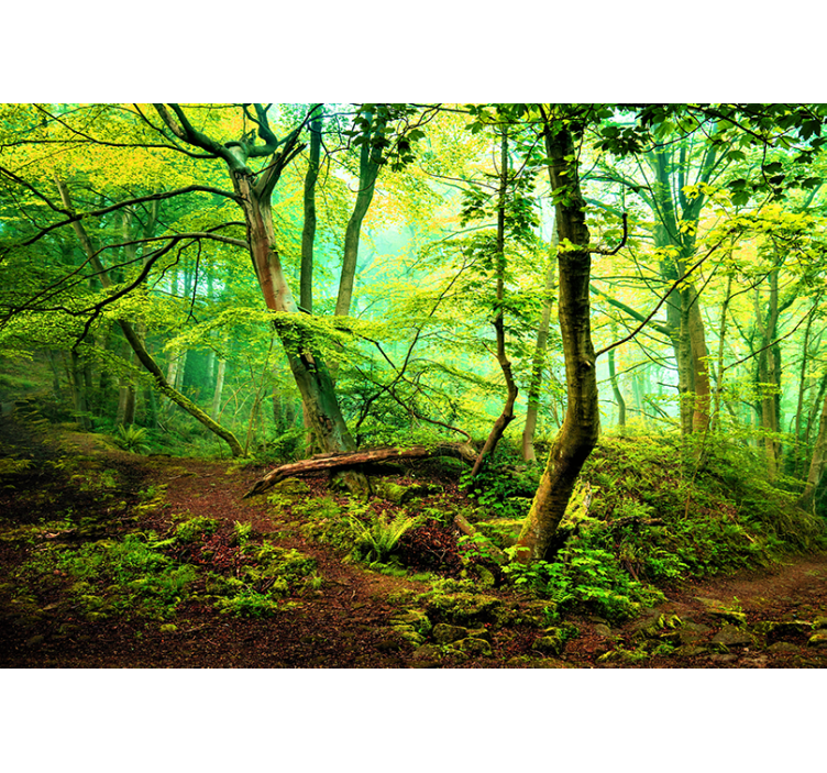 Papel mural bosque verde vibrante - TenVinilo