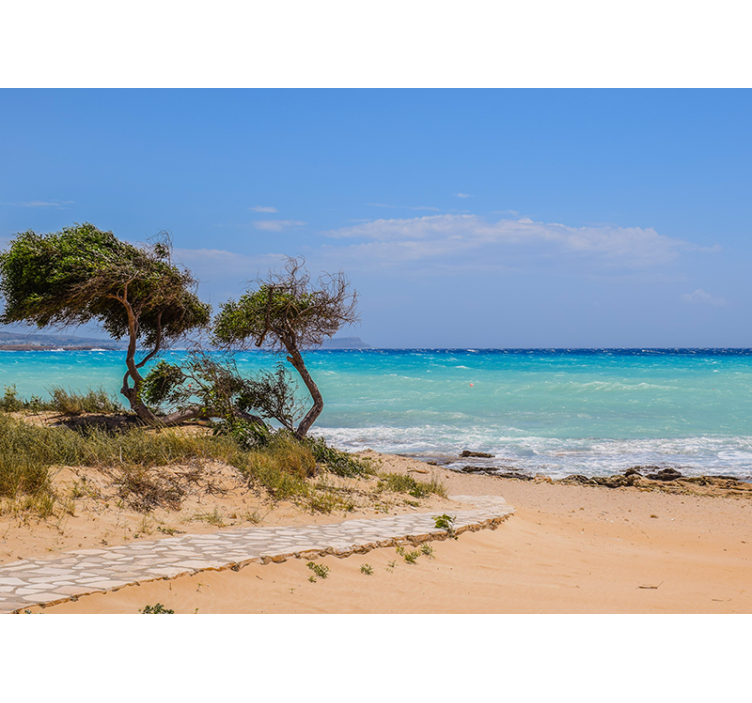 Fotomural mar Camino blanco a la playa - TenVinilo