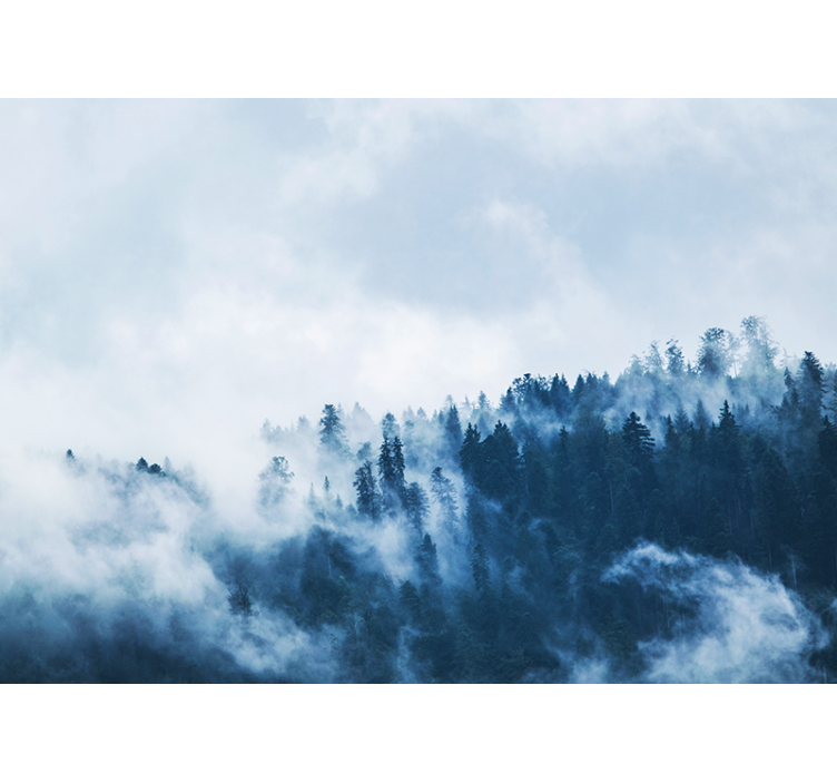 Papel mural naturaleza paisaje boscoso nublado - TenVinilo