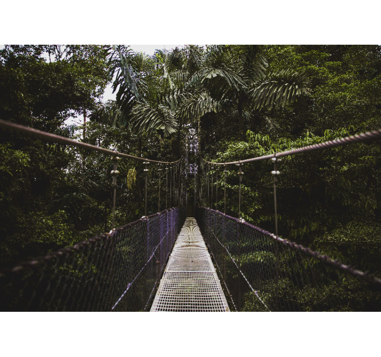 Papel mural naturaleza aventura en puente colgante - TenVinilo