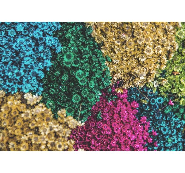 Papel mural flores patrones florales coloridos - TenVinilo