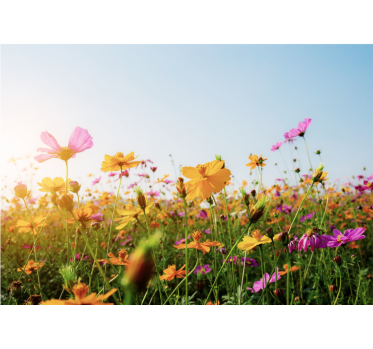 Papel mural flores flora colorida en floración - TenVinilo