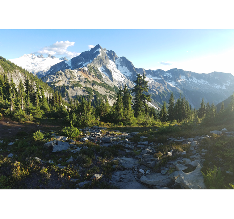 Papel mural paisajes vista del bosque montañoso - TenVinilo