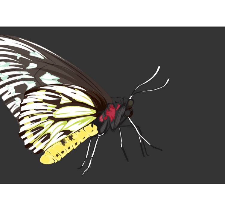 Papel mural flores diseño de mariposa amarilla - TenVinilo