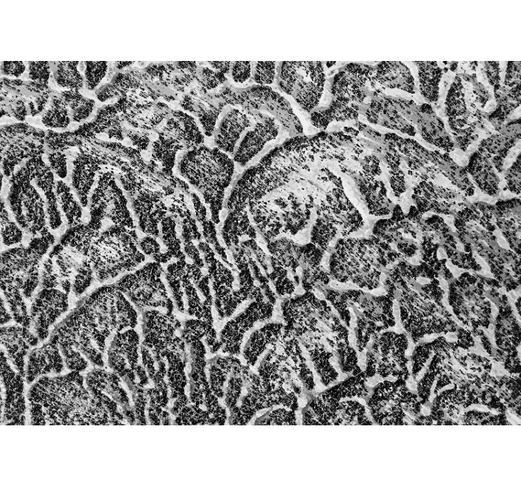 Papel mural textura patrón orgánico - TenVinilo