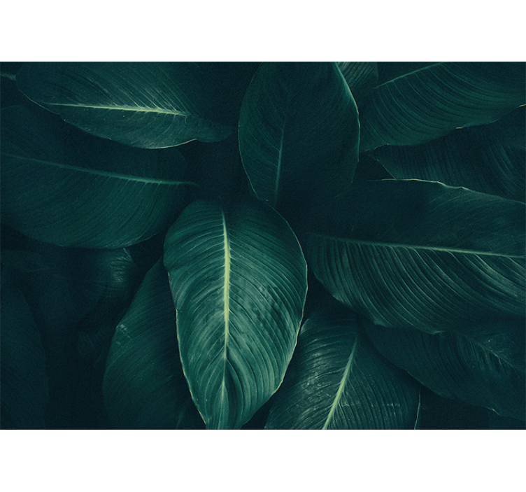 Papel mural naturaleza textura frondosa - TenVinilo