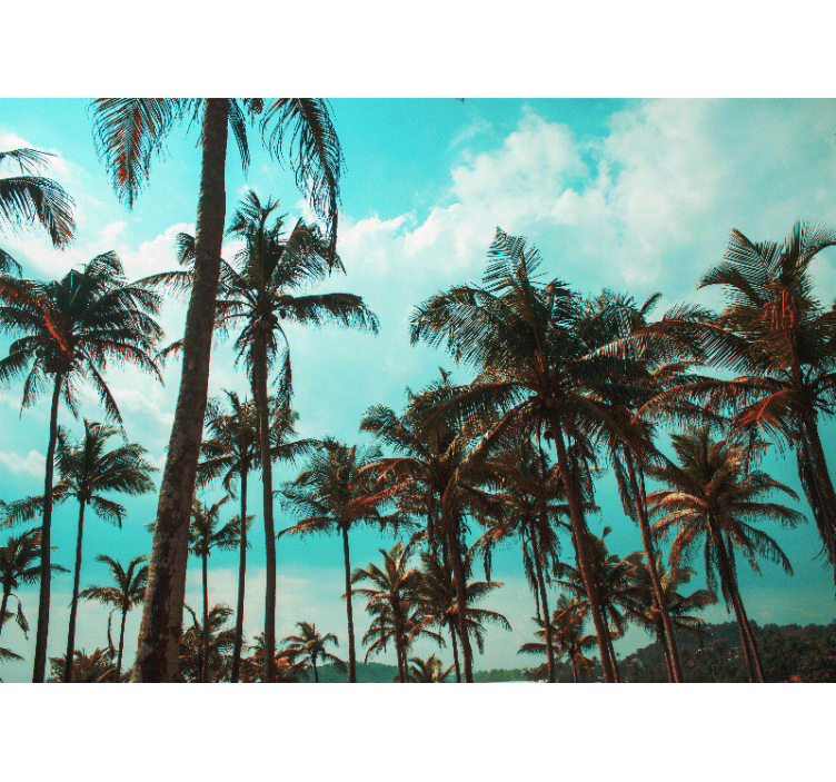 Papel mural naturaleza paraíso de palmeras - TenVinilo