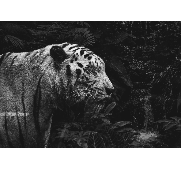 Mural de animales majestuoso tigre blanco - TenVinilo