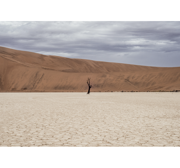Papel mural montaña paisaje desértico - TenVinilo