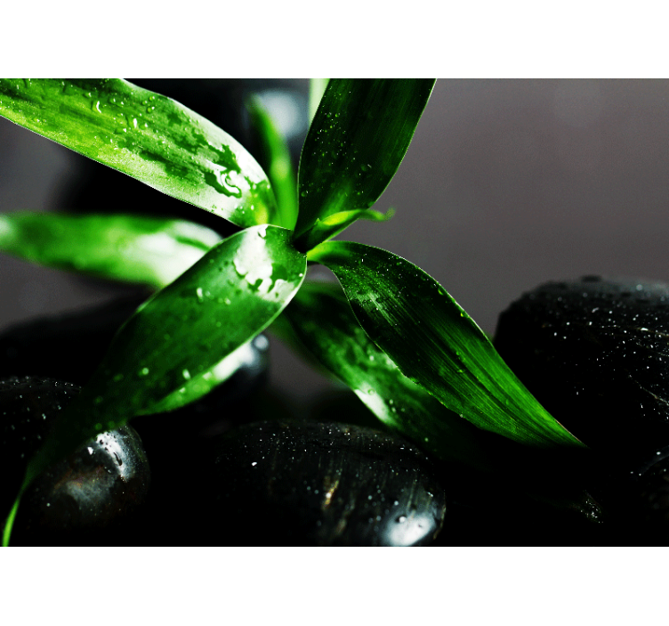 Papel mural naturaleza textura de hojas frescas - TenVinilo